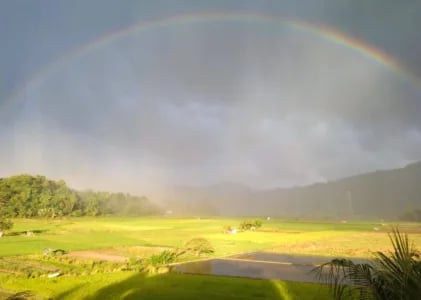 Sakit dalam Beranda Healing