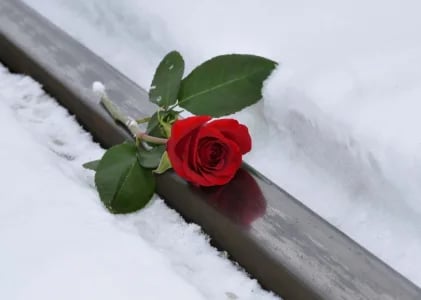 Sedang Apa Engkau di Sana?