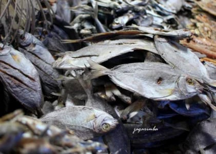Ikang Cara, Saung Lomak dan Hang Bongkar