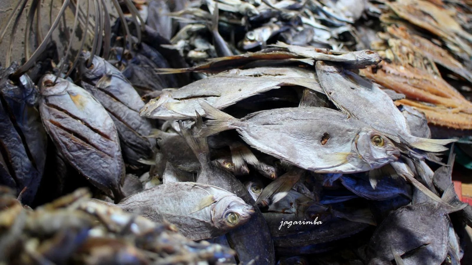 Ikang Cara, Saung Lomak dan Hang Bongkar