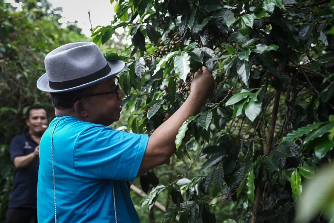 Festival Kopi Lembah Colol