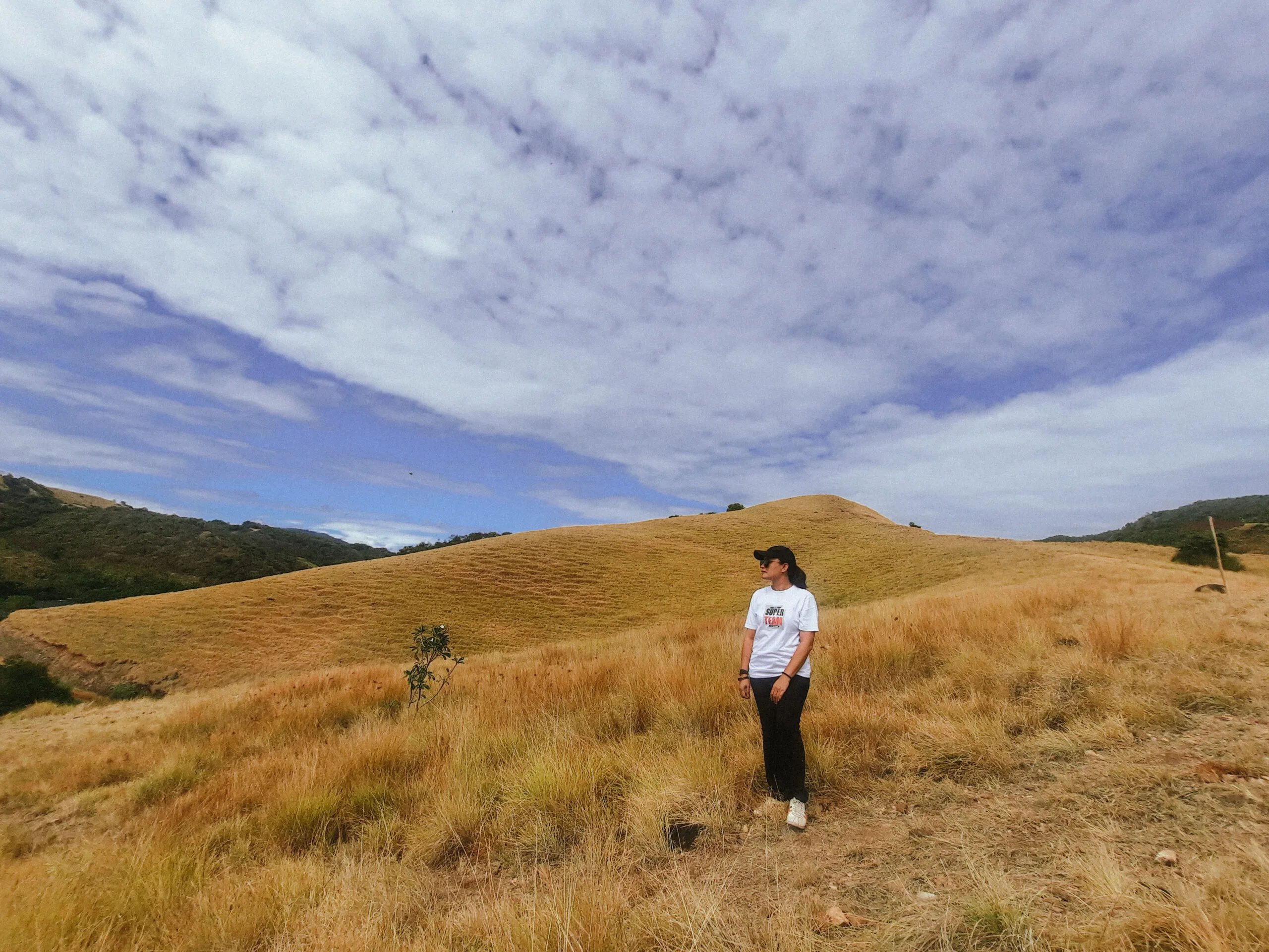 Jangan Takut untuk Terbang