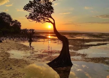 Opa Kanisius; GOAT (Greatest of All Time) Kami