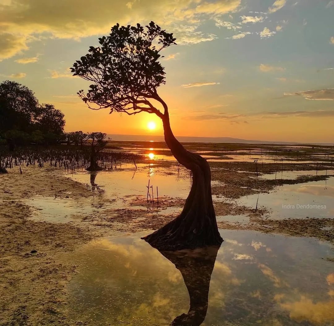 Opa Kanisius; GOAT (Greatest of All Time) Kami