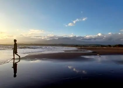 04. Hipotesis Biofilia: Kerinduan Arkaik Manusia untuk Mencintai Kehidupan