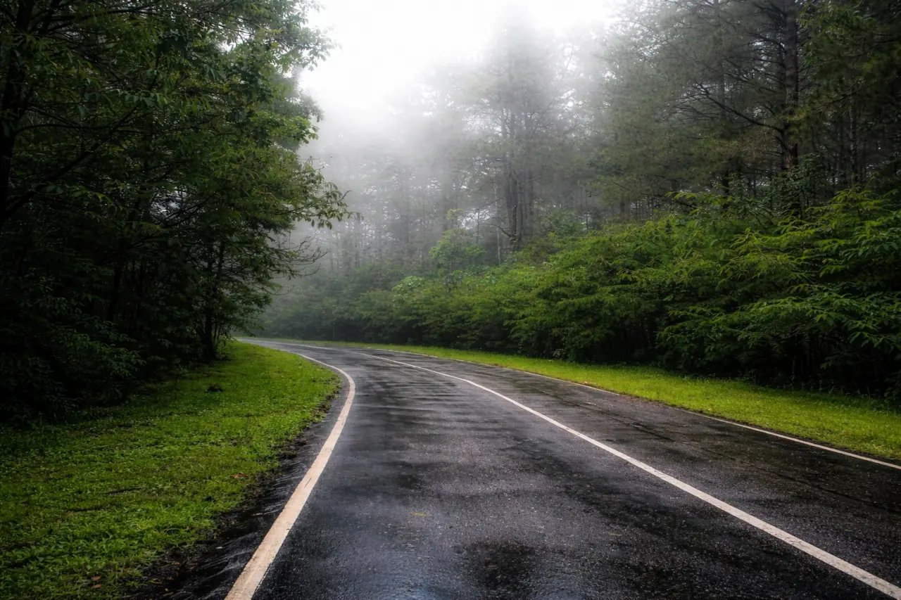 08. Dikotomi Eksistensial Vs. Historis: Memahami Batas-Batas Kebebasan Manusia