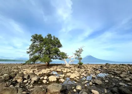 01. Epidemiologi Kesepian: Paradoks Keterasingan di Era Hiperkonektivitas Digital