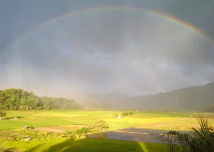 Sakit dalam Beranda Healing