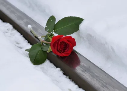 Sedang Apa Engkau di Sana?