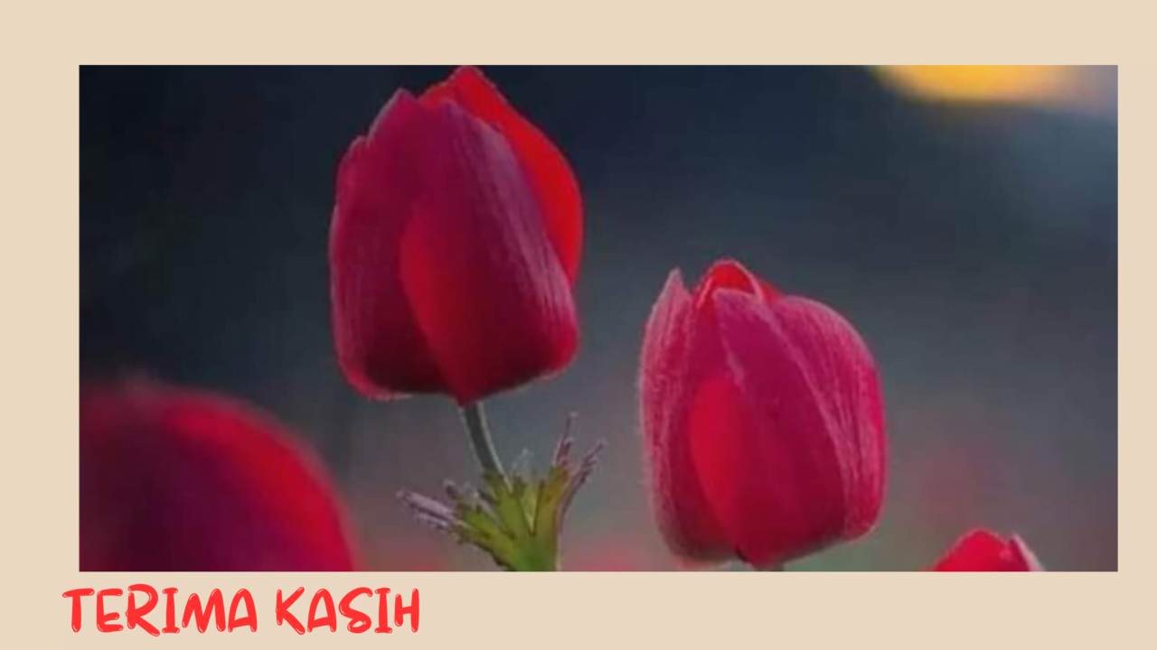 Perempuan dan Medsos