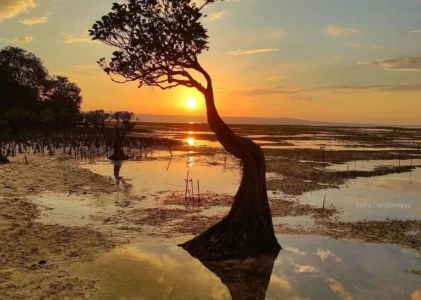 Opa Kanisius; GOAT (Greatest of All Time) Kami